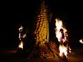 Burning Corn 2001